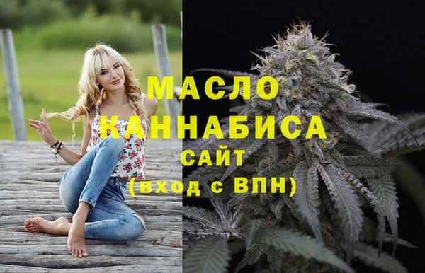 гидра Кулебаки