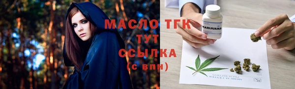гидра Кулебаки