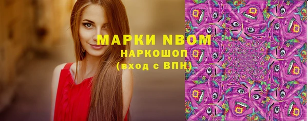 гидра Кулебаки