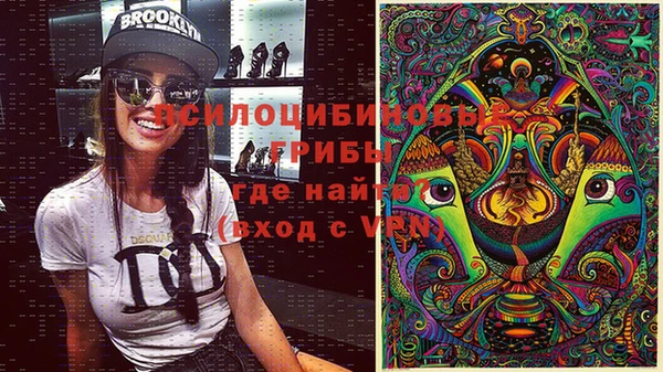 гидра Кулебаки