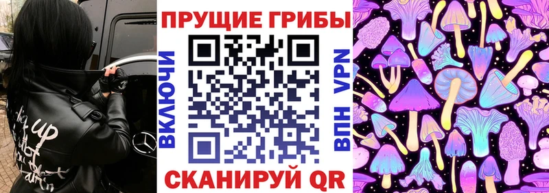 Галлюциногенные грибы GOLDEN TEACHER  kraken   Новый Оскол 
